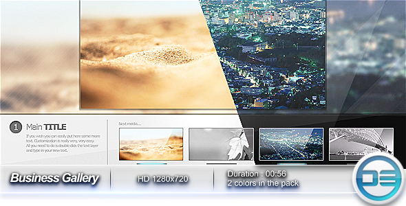 Business Gallery - Download Videohive 131811