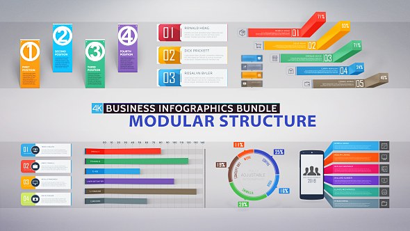 Business Infographics Bundle - Download Videohive 19823192
