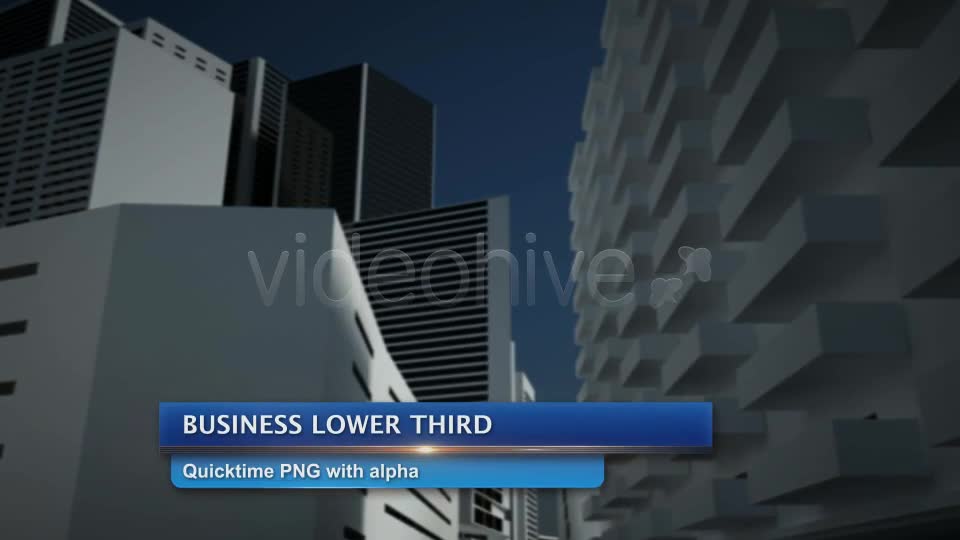 Business Lower Third Videohive 2498937 Motion Graphics Image 1