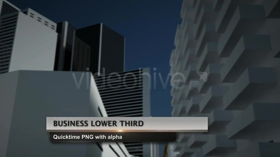 Business Lower Third Videohive 2498937 Motion Graphics Image 10