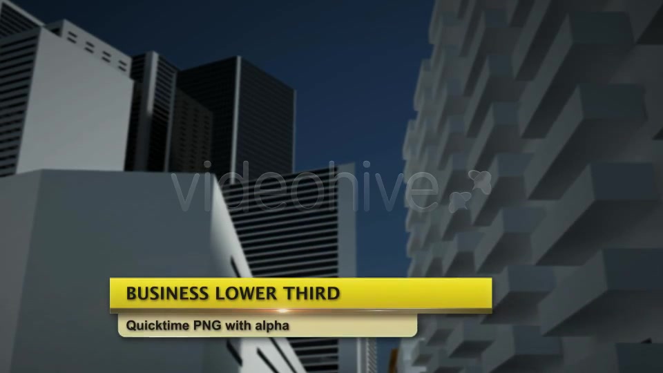 Business Lower Third Videohive 2498937 Motion Graphics Image 11