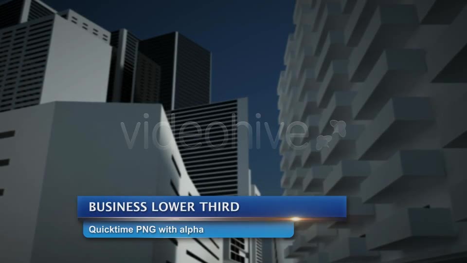 Business Lower Third Videohive 2498937 Motion Graphics Image 2