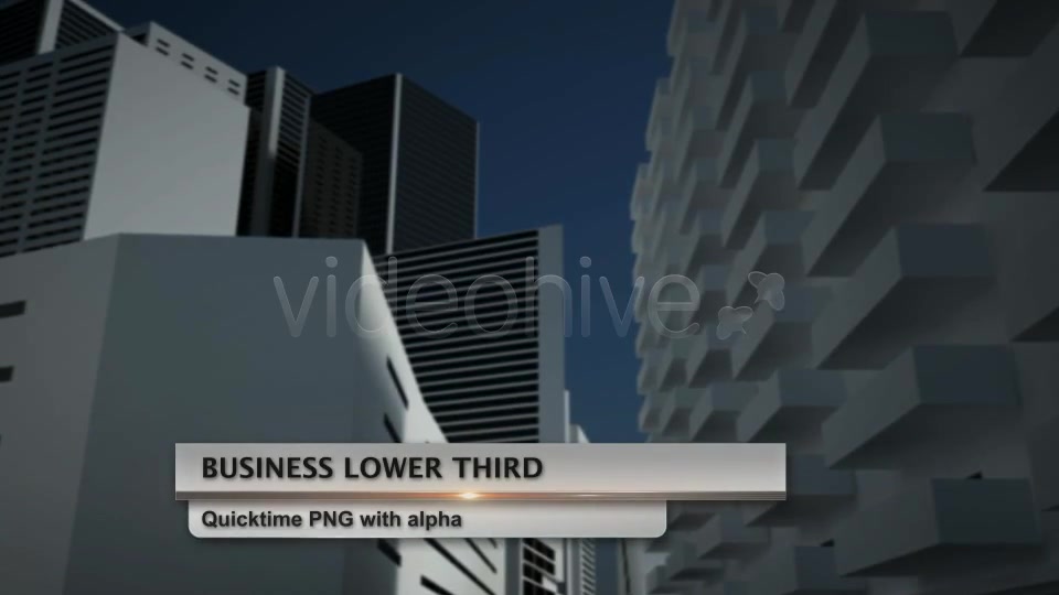 Business Lower Third Videohive 2498937 Motion Graphics Image 3