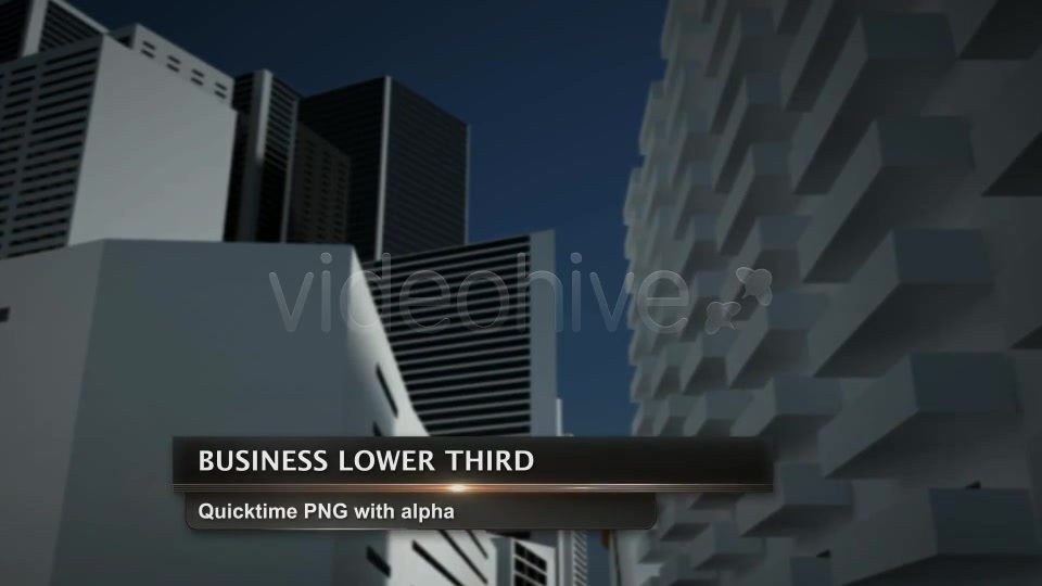 Business Lower Third Videohive 2498937 Motion Graphics Image 5