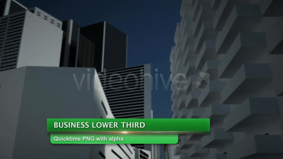 Business Lower Third Videohive 2498937 Motion Graphics Image 6