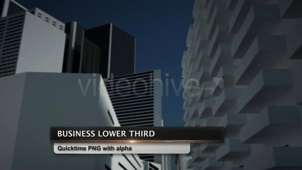 Business Lower Third Videohive 2498937 Motion Graphics Image 7