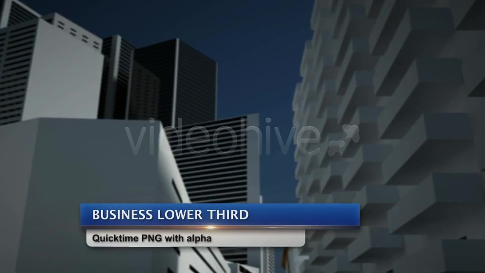 Business Lower Third Videohive 2498937 Motion Graphics Image 8