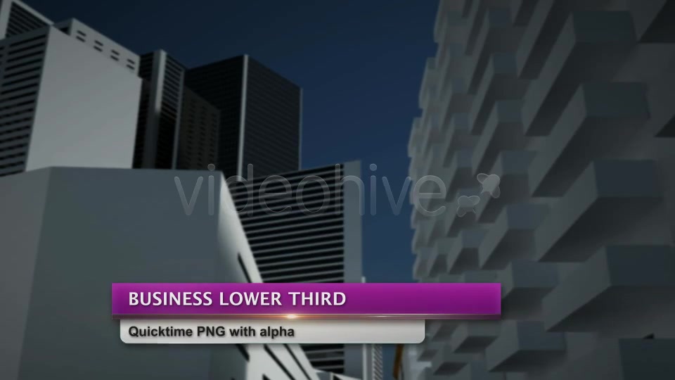 Business Lower Third Videohive 2498937 Motion Graphics Image 9