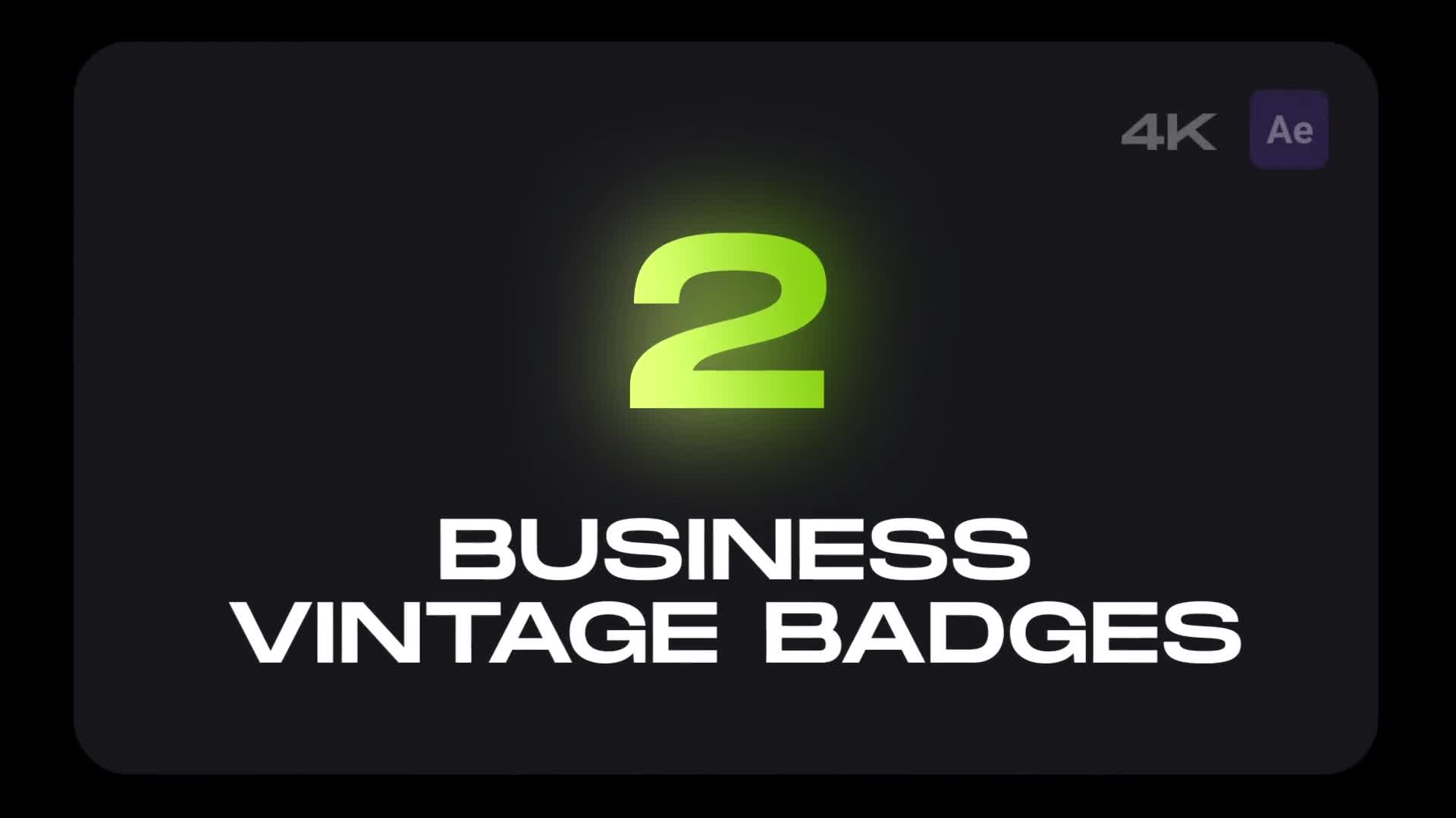 Business Vintage Badges Videohive 32970382 After Effects Image 1