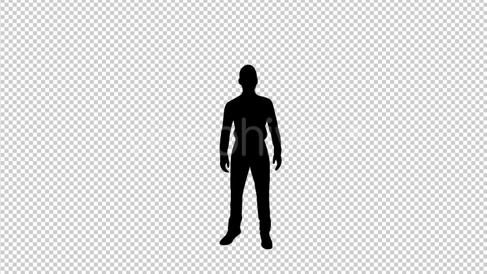 Businessman Talking Silhouette - Download Videohive 19685836