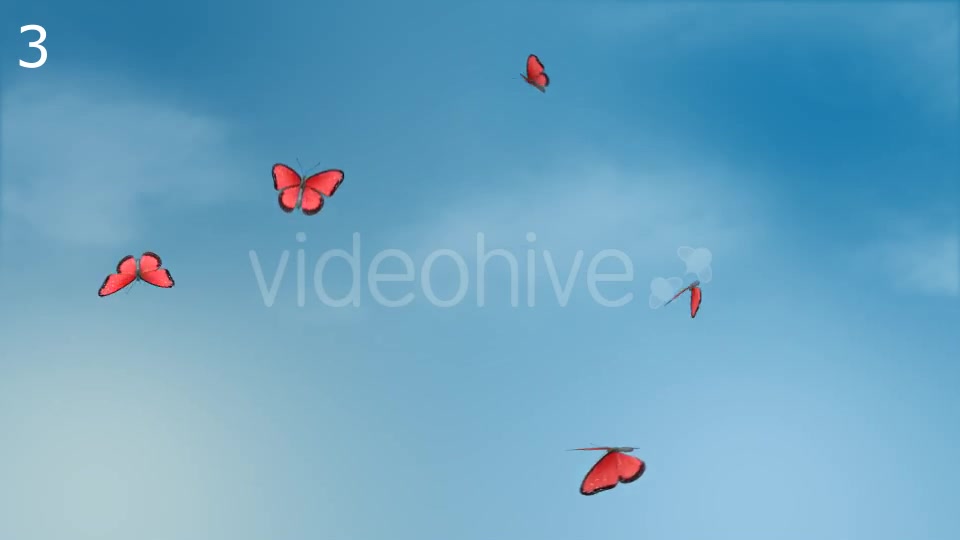 Butterflies Animations Pack - Download Videohive 16974094