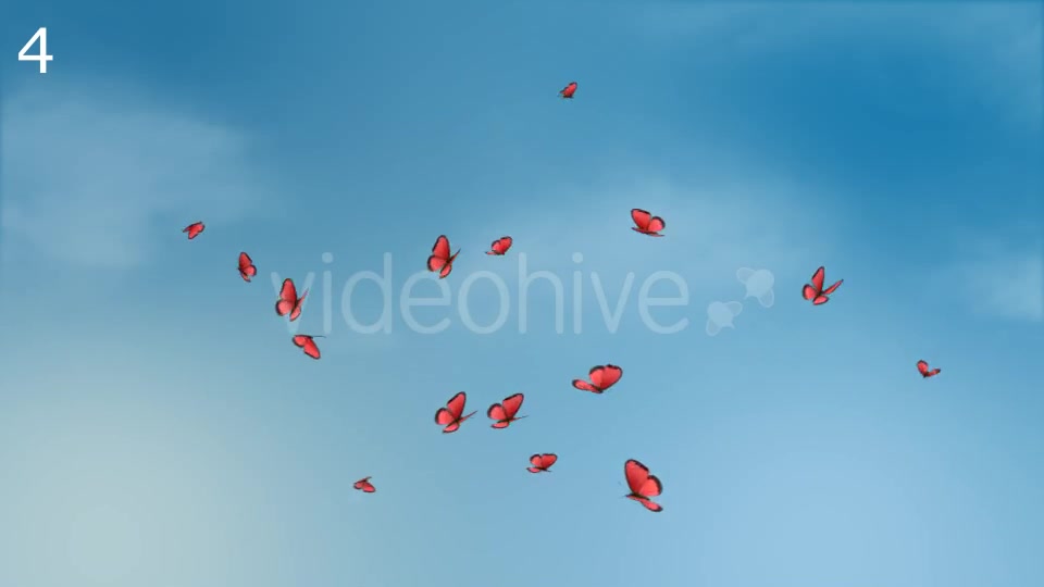 Butterflies Animations Pack - Download Videohive 16974094