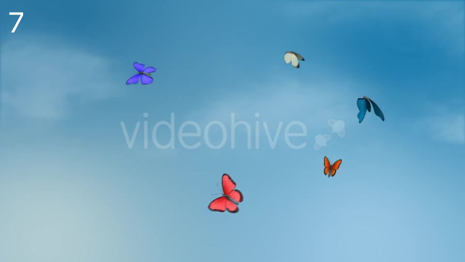 Butterflies Animations Pack - Download Videohive 16974094