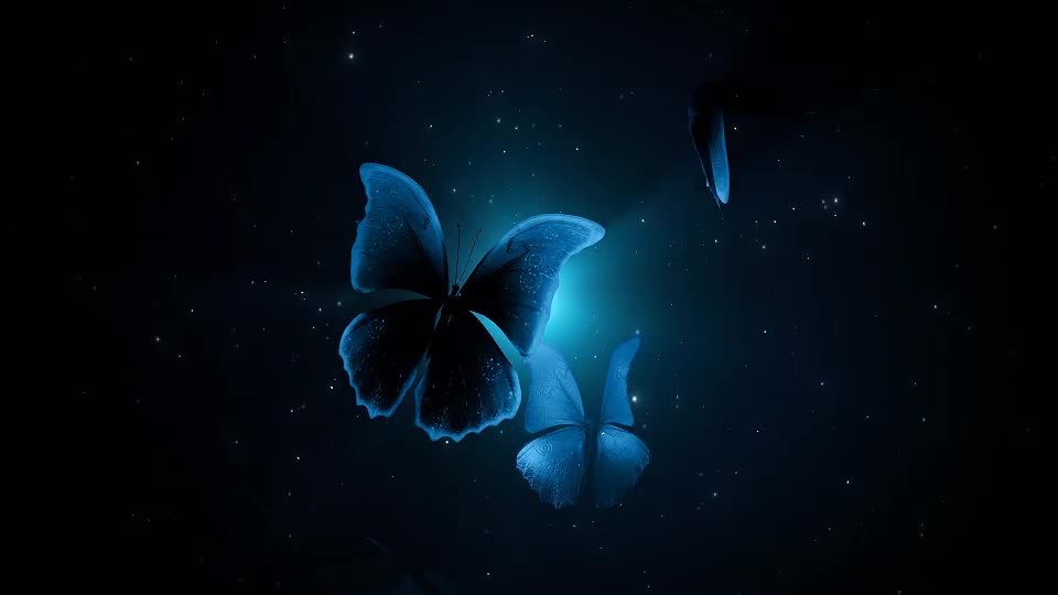 Butterflies in the Dark Videohive 28672335 After Effects Image 1