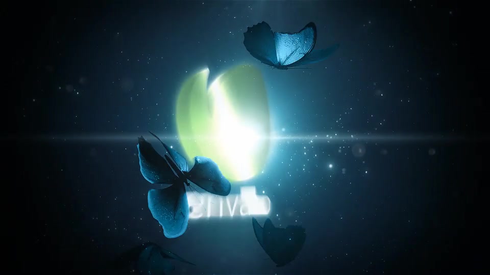 Butterflies in the Dark Videohive 28672335 After Effects Image 11