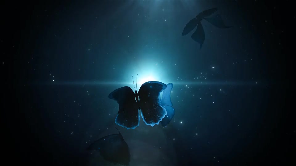 Butterflies in the Dark Videohive 28672335 After Effects Image 2
