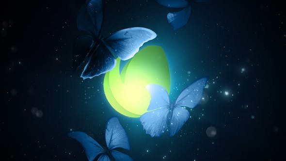 Butterflies in the Dark - Download Videohive 28672335