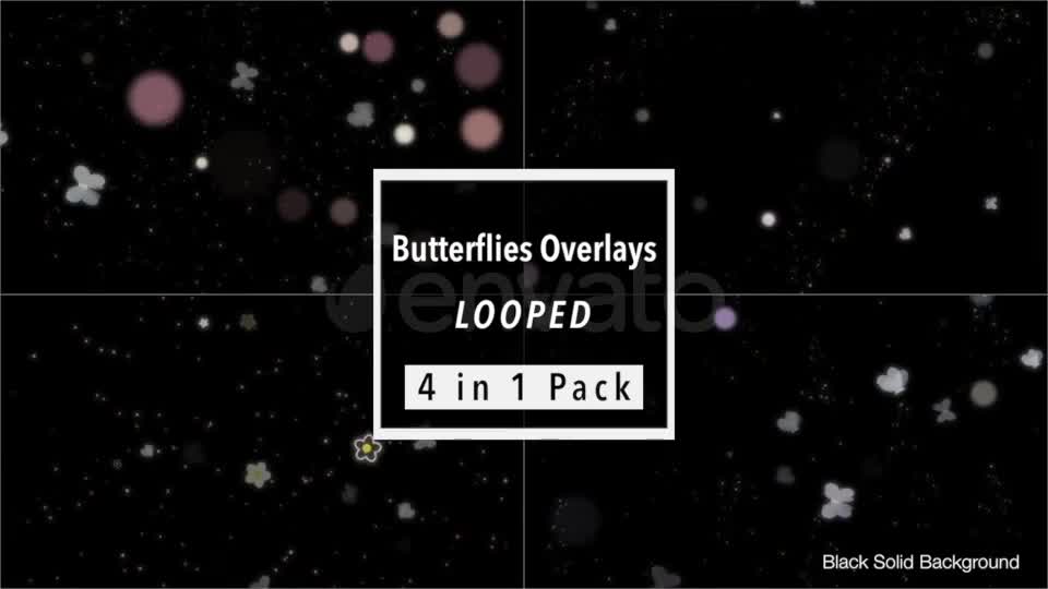 Butterflies Overlays Pack - Download Videohive 21751687