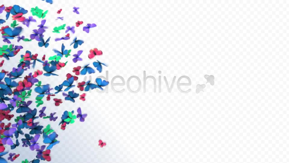 Butterflies Transition Videohive 2396952 Motion Graphics Image 2