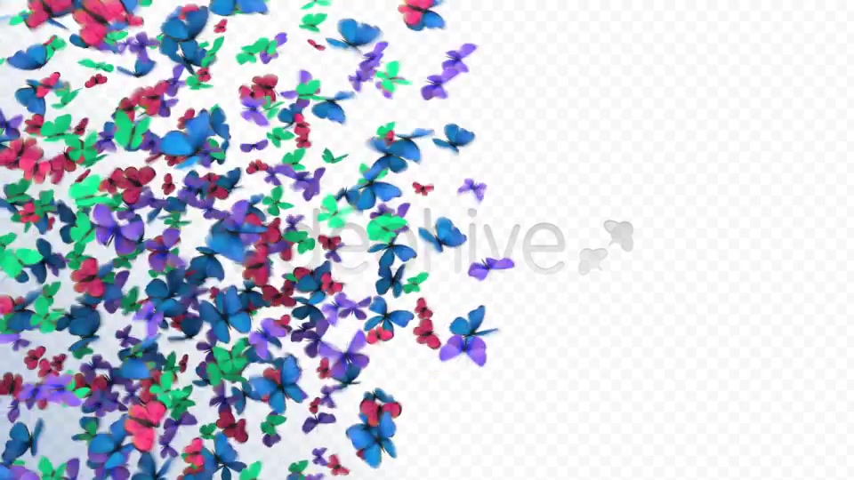 Butterflies Transition Videohive 2396952 Motion Graphics Image 3