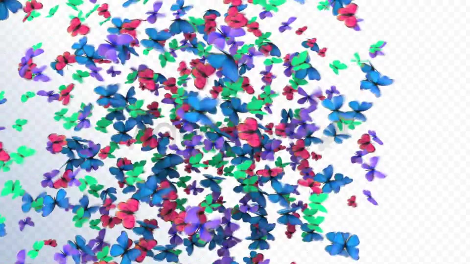 Butterflies Transition Videohive 2396952 Motion Graphics Image 4