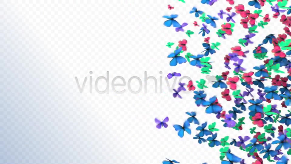 Butterflies Transition Videohive 2396952 Motion Graphics Image 6