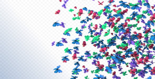 Butterflies Transition - 2396952 Download Videohive