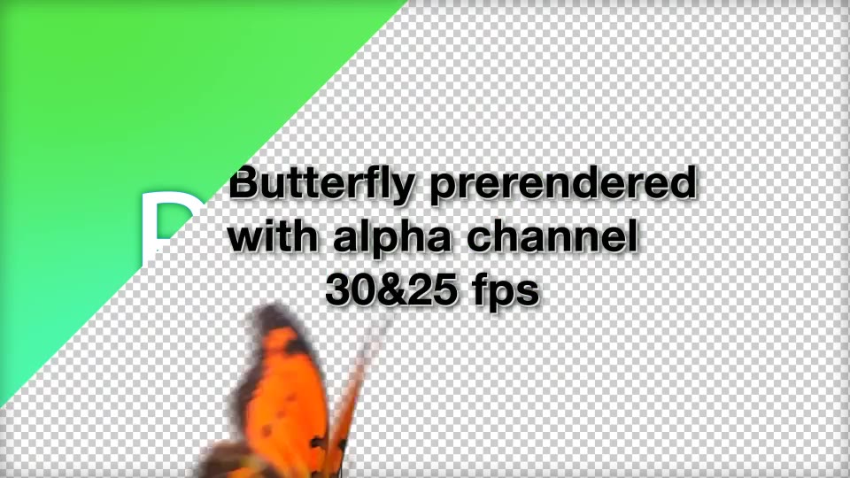 Butterfly - Download Videohive 9199436