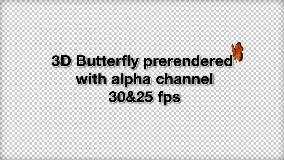 Butterfly - Download Videohive 9199436
