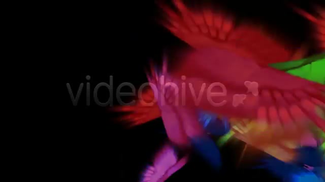 Butterfly Flight Transition Videohive 13506 Motion Graphics Image 4