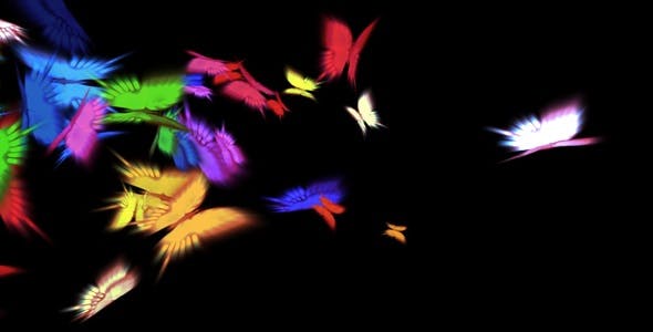 Butterfly Flight Transition - Videohive 13506 Download