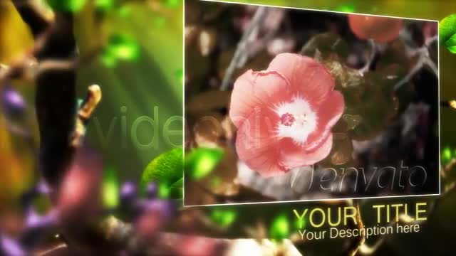 Butterfly Forest - Download Videohive 168102