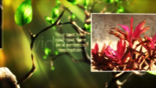 Butterfly Forest - Download Videohive 168102