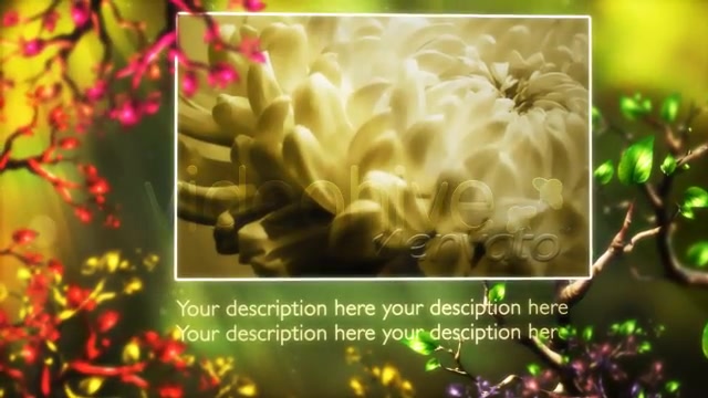 Butterfly Forest - Download Videohive 168102