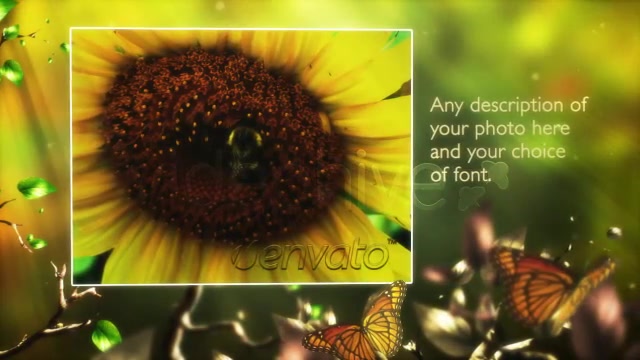 Butterfly Forest - Download Videohive 168102