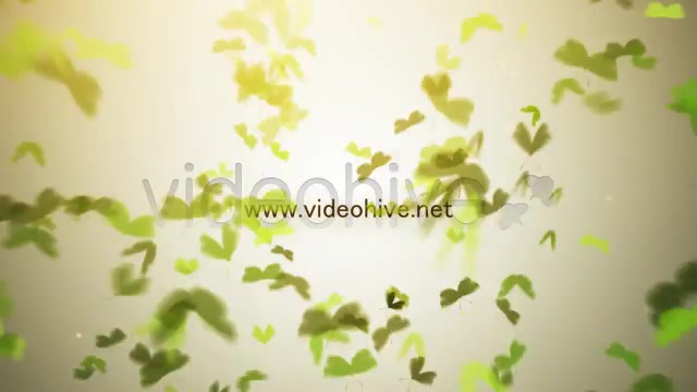 Butterfly Logo - Download Videohive 3396788