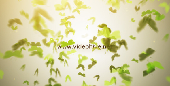 Butterfly Logo - Download Videohive 3396788