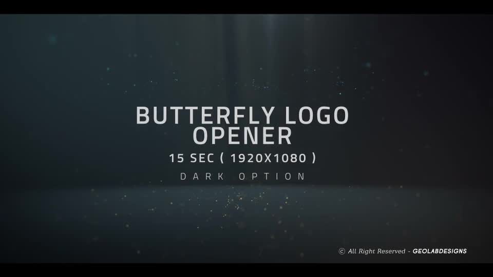 Butterfly Logo Opener l Elegant Logo Opener l Flipping Wings Logo Opener Videohive 25587488 After Effects Image 1