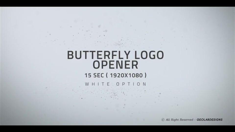 Butterfly Logo Opener l Elegant Logo Opener l Flipping Wings Logo Opener Videohive 25587488 After Effects Image 7