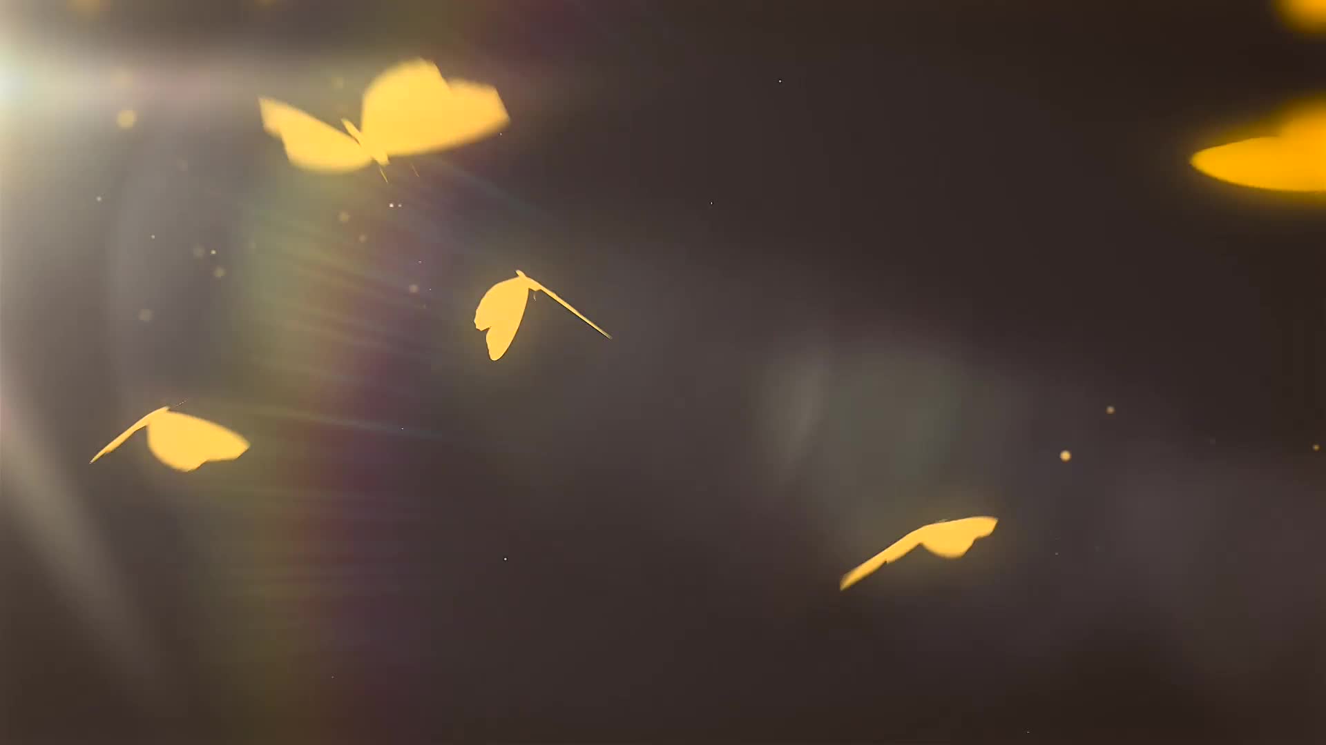 Butterfly Logo Reveal Videohive 26641247 Apple Motion Image 1