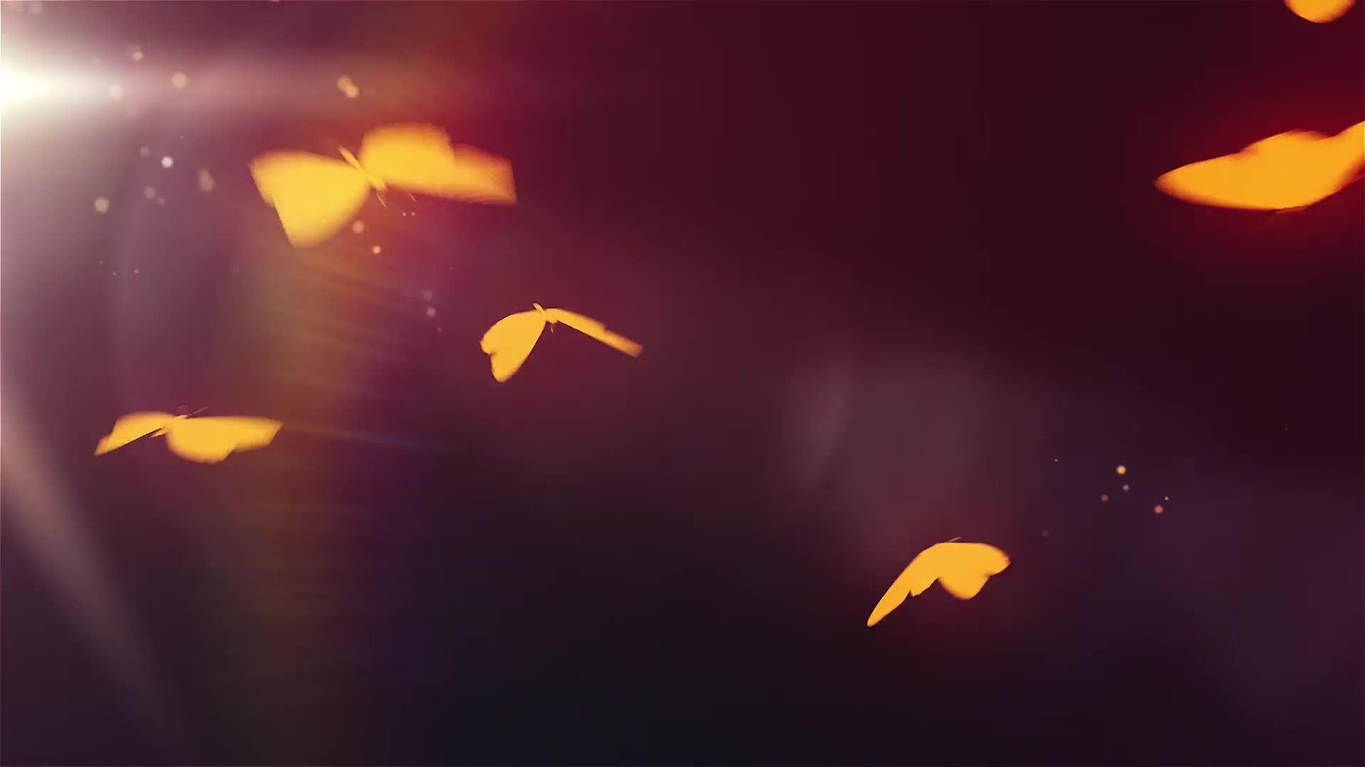 Butterfly Logo Reveal Videohive 24971218 After Effects Image 1