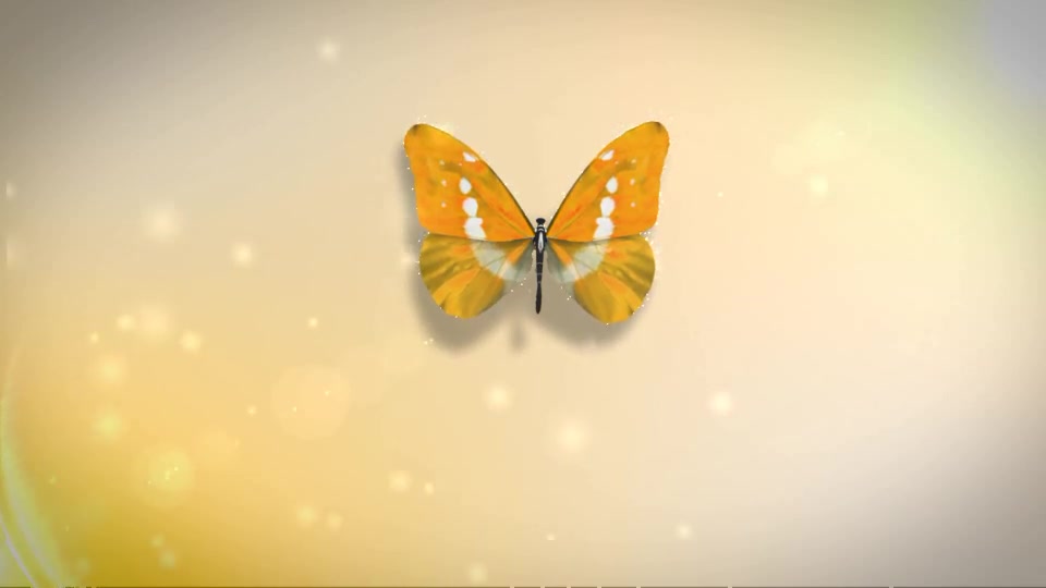 Butterfly Logo Reveal - Download Videohive 6063266