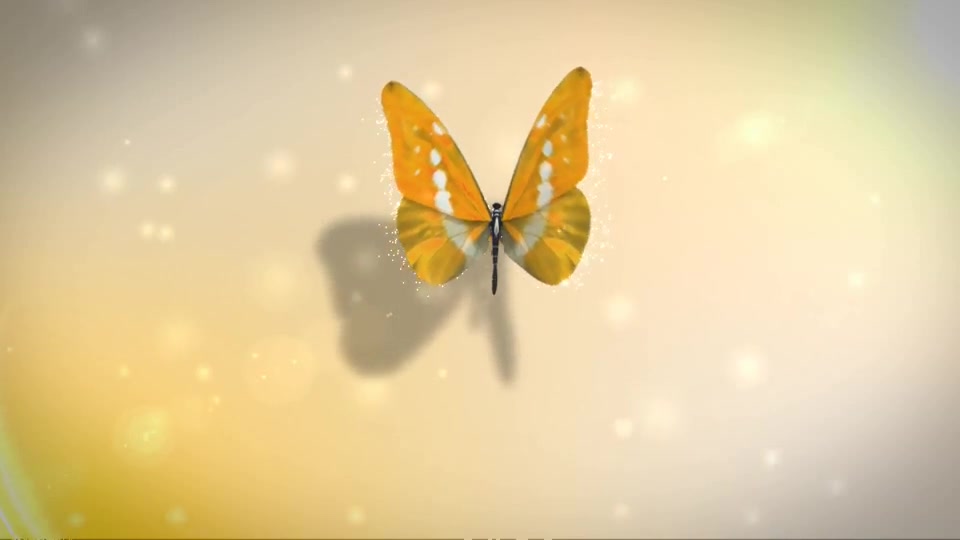 Butterfly Logo Reveal - Download Videohive 6063266