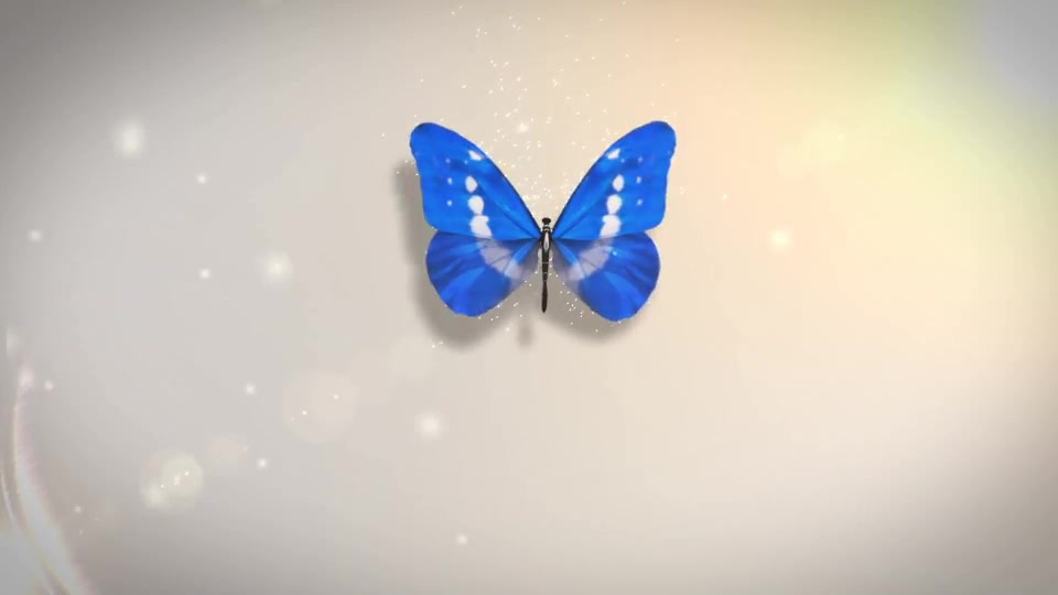 Butterfly Logo Reveal - Download Videohive 6063266