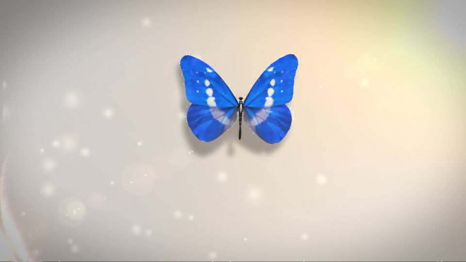 Butterfly Logo Reveal - Download Videohive 6063266