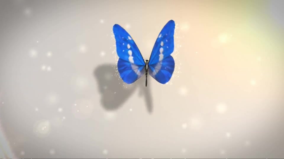 Butterfly Logo Reveal - Download Videohive 6063266