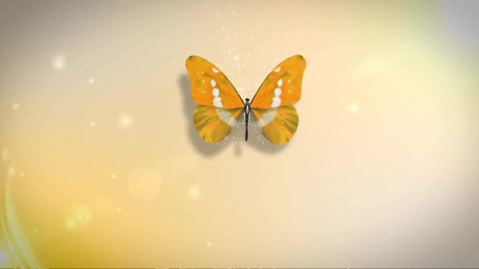 Butterfly Logo Reveal - Download Videohive 6063266