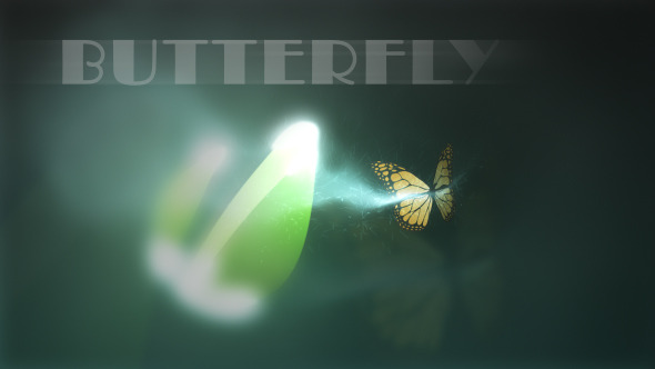 Butterfly Logo Reveal - Download Videohive 6280982