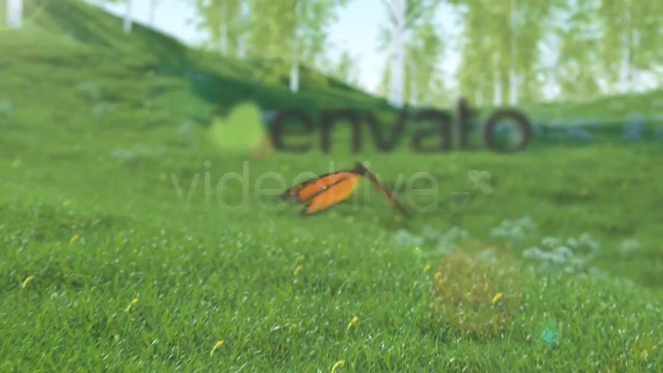 Butterfly Logo Reveal - Download Videohive 6735223