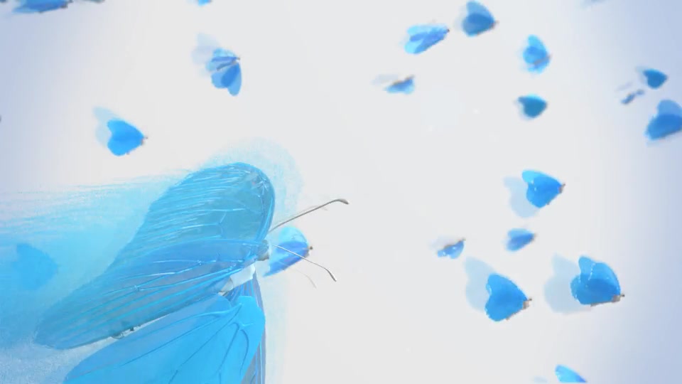 Butterfly Logo Reveal Premiere Pro Videohive 23000561 Premiere Pro Image 5